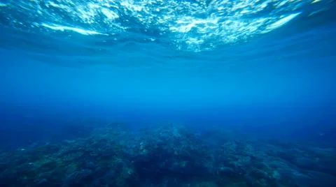 Underwater Coral Reef Seamless Loop Footage Stock Footage 63634091