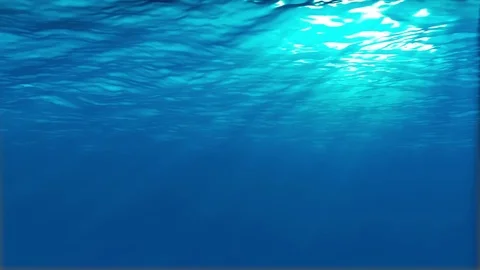 Underwater Deep Stock Footage 81205619