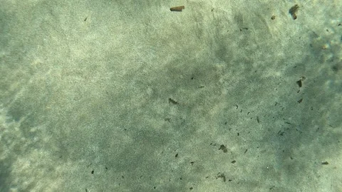 Underwater Deep Sand Surface Vidéo 339976169
