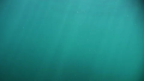 Underwater descent and a subsequent surfacing, showcased in slow-motion aga.. Video stock 254772422