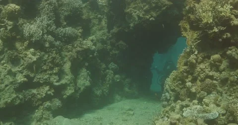 Underwater diver cave 4K Stock Footage 49876265