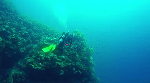 Underwater Diver diving coral rock Red Sea. Background Egypt 4k video Stock Footage 65394802