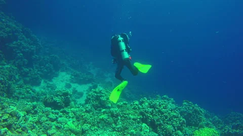 Underwater Diver diving corals Red Sea. Background copyspace. Egypt 4k video Stock Footage 65394796