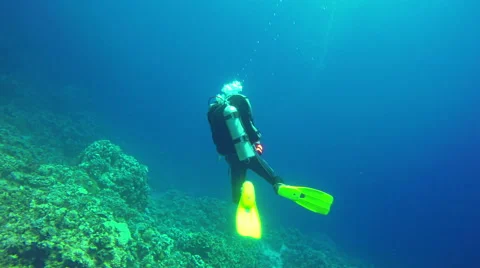 Underwater Diver diving rock Red Sea. Background copyspace Target Egypt 4k video Stock Footage 65394793
