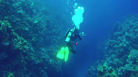 Underwater Diver diving rocks corals Red Sea. Egypt. Target camera. 4k video Stock Footage 65396149