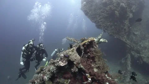 UNDERWATER DIVER 스톡 동영상 216293755