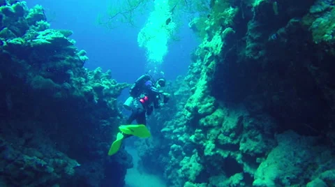 Underwater Diver makes photos diving corals Red Sea. Egypt. 4k video Stock Footage 65396169