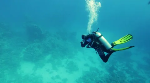 Underwater diver top view Stock Footage 36754700