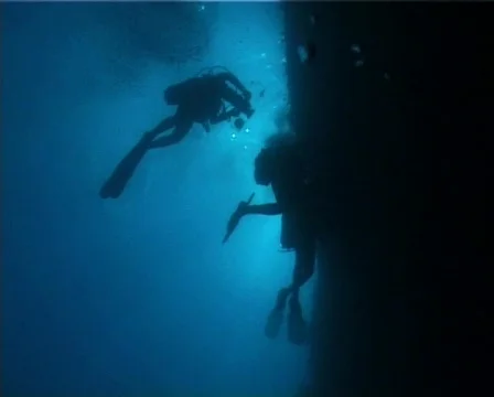 Underwater divers 32 動画素材 80120