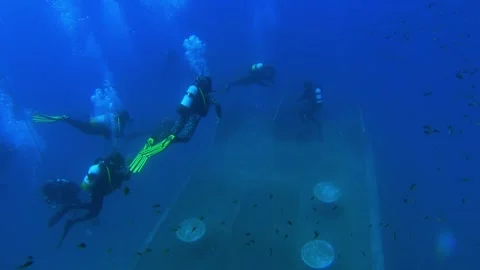 Underwater divers Stock Footage 148246413