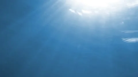 Underwater diving against sunlight Stock Footage 260331295