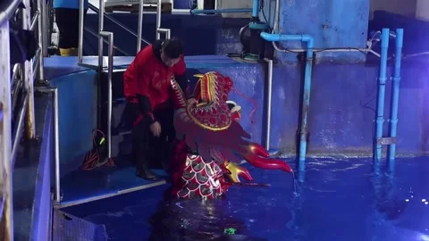 Underwater dragon dance performance to c... | Stock Video | Pond5