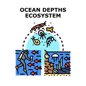 Underwater ecosystem exploration discovering diverse marine life Stock Illustration