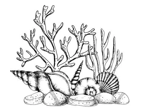 Underwater engraved composition with Seashells and Corals on isolated background Stock Illustration
