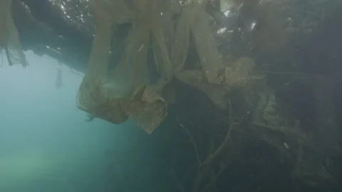 Underwater environment contaminated with nylons and plastics in a freshwater Stock-Footage 254472478