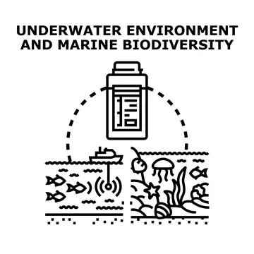 Underwater environment exploring marine biodiversity for research Stock Illustration