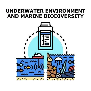 Underwater environment exploring marine biodiversity for research Stock Illustration