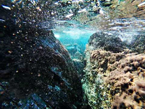 Underwater environment landscape Stock Photos