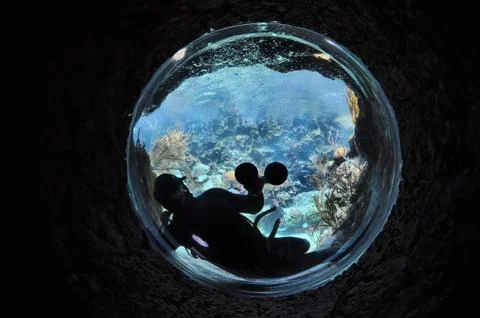 Underwater environment Stock Photos