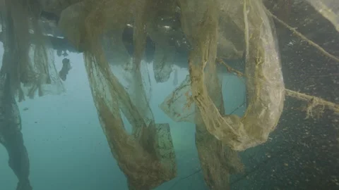Underwater environment polluted with nylons and plastic in a lake Stock-Footage 254472479