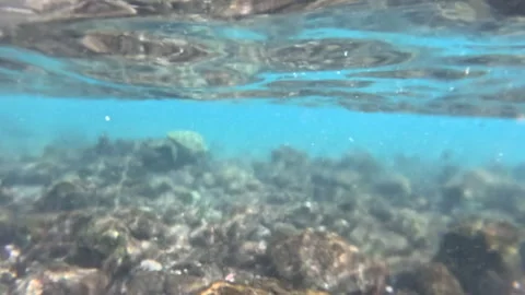 Underwater Exploration in Clear Ocean Waters With Marine Life Stock Footage 316636997