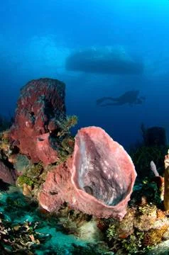 Underwater exploration Stock Photos