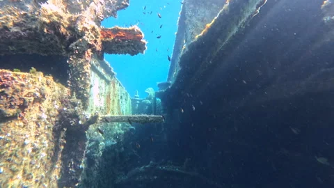 Underwater exploration of a rusting shipwreck wreckage Vídeos de archivo 317442228