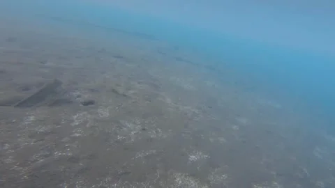 Underwater exploring around harbor bottom view of polluted dark black mud dirt g Stock Footage 253459023