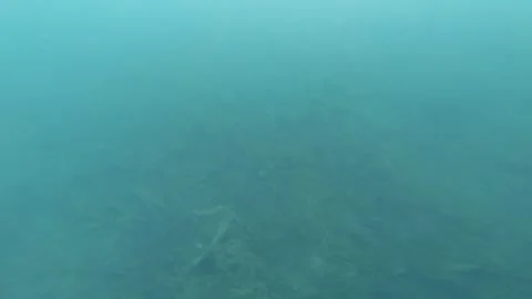 Underwater exploring at harbor bottom view of polluted dark black mud dirt greas Stock-Footage 253458755