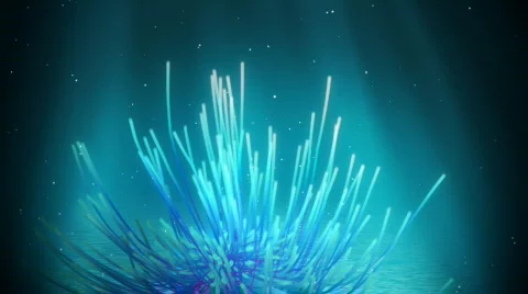 Underwater feather star loop Video stock 822999