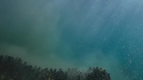 Underwater filming Video stock 318016628