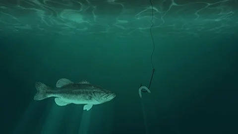 Underwater Fish and a Fish Hook with a Worm Stock Footage 77694540