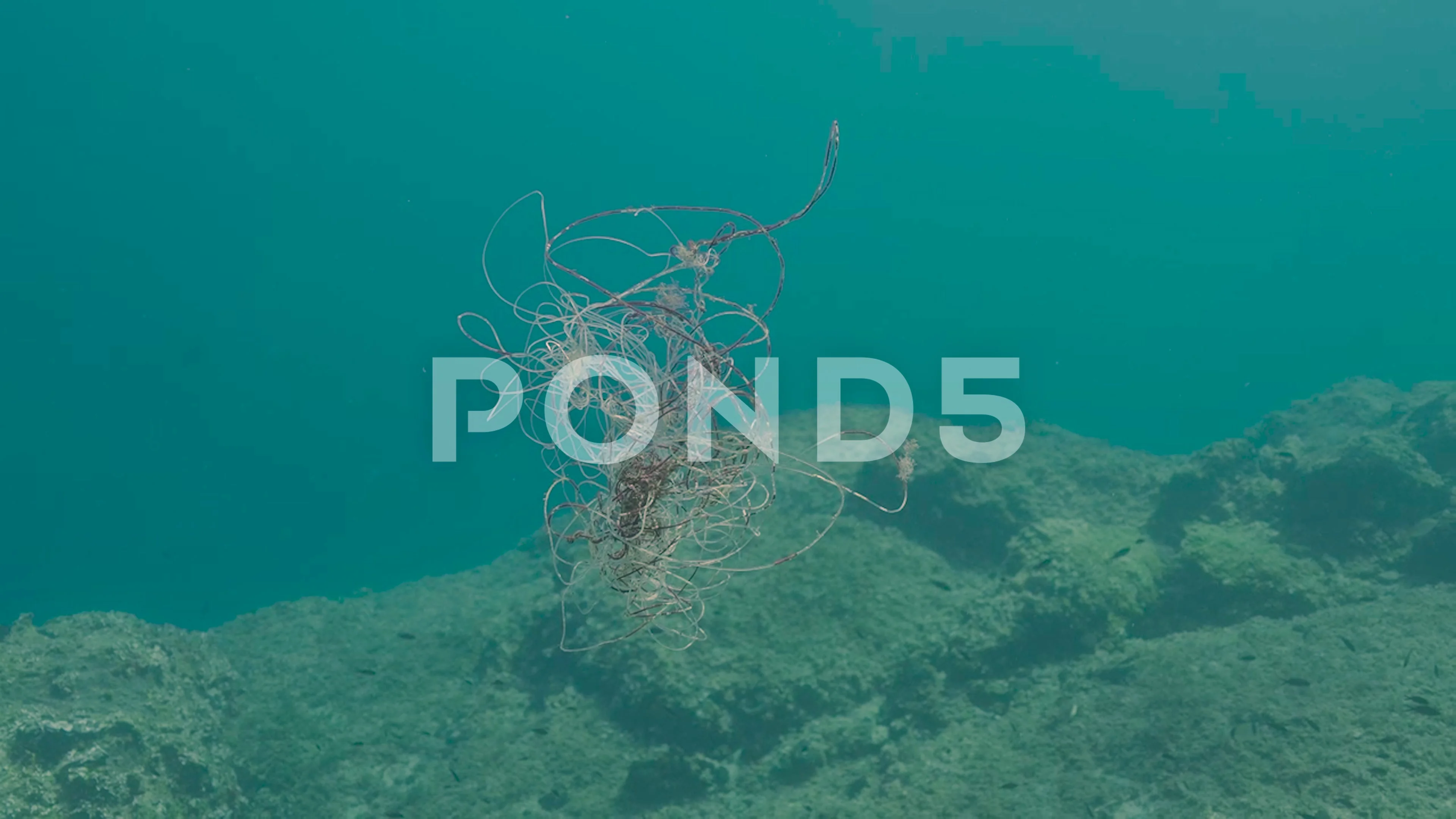 underwater fishing line floats like tras, Stock Video