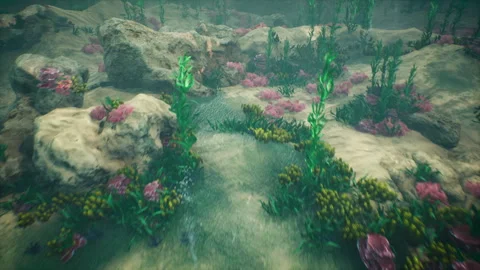 Underwater Floor Stock-Footage 339369483