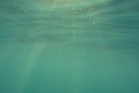 Underwater Stock Footage 344469