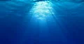 UNDERWATER HD Footage