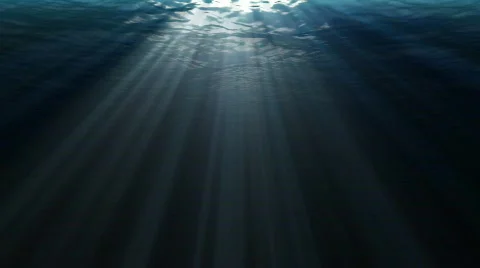 Underwater  Stock Footage 496146