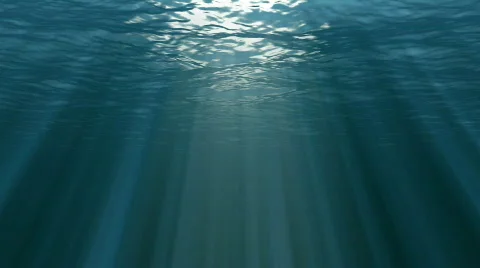 Underwater Stock Footage 496206