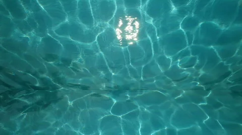 Underwater Stock Footage 514983