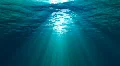 Underwater HD Footage