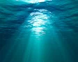 Underwater SD Footage