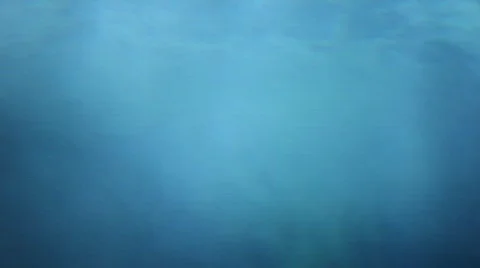 Underwater  Stock Footage 788955