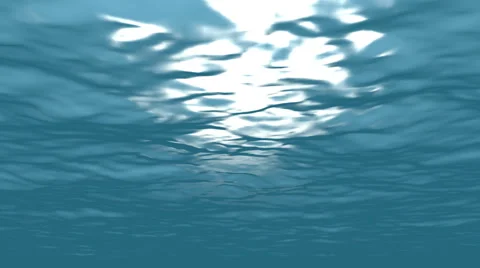 Underwater 스톡 동영상 1001174