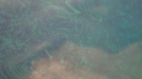 Underwater Video stock 7811294