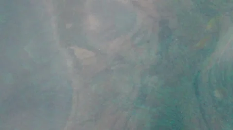 Underwater Stock Footage 7815227