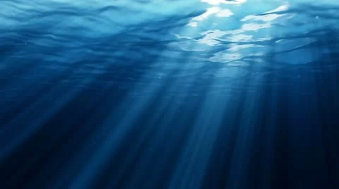 Underwater Stock Footage