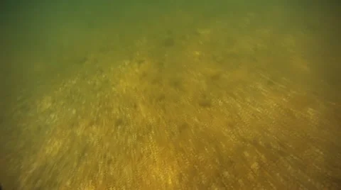 Underwater 스톡 동영상 11407755