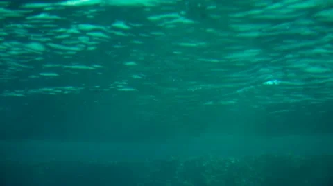 Underwater Vídeo Stock 20150045
