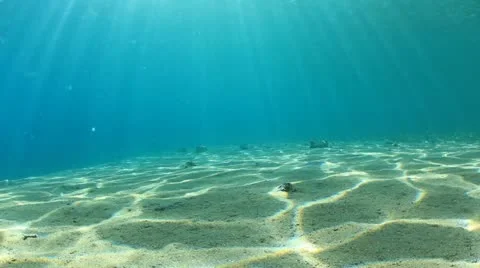 Underwater Stock Footage 21905469
