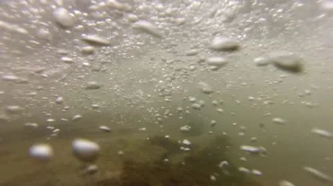 Underwater Video stock 22009933